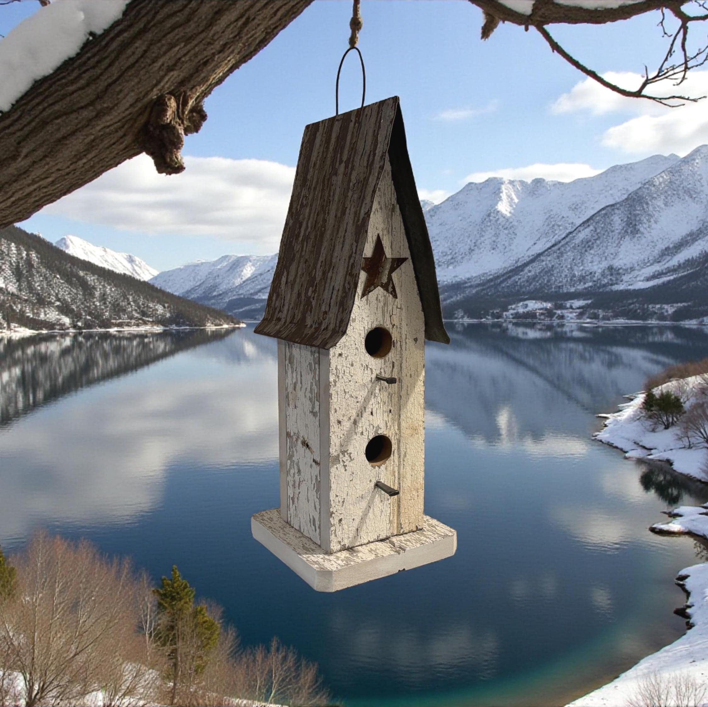 Wooden birdhouse hanging from a branch with a scenic mountain and lake background