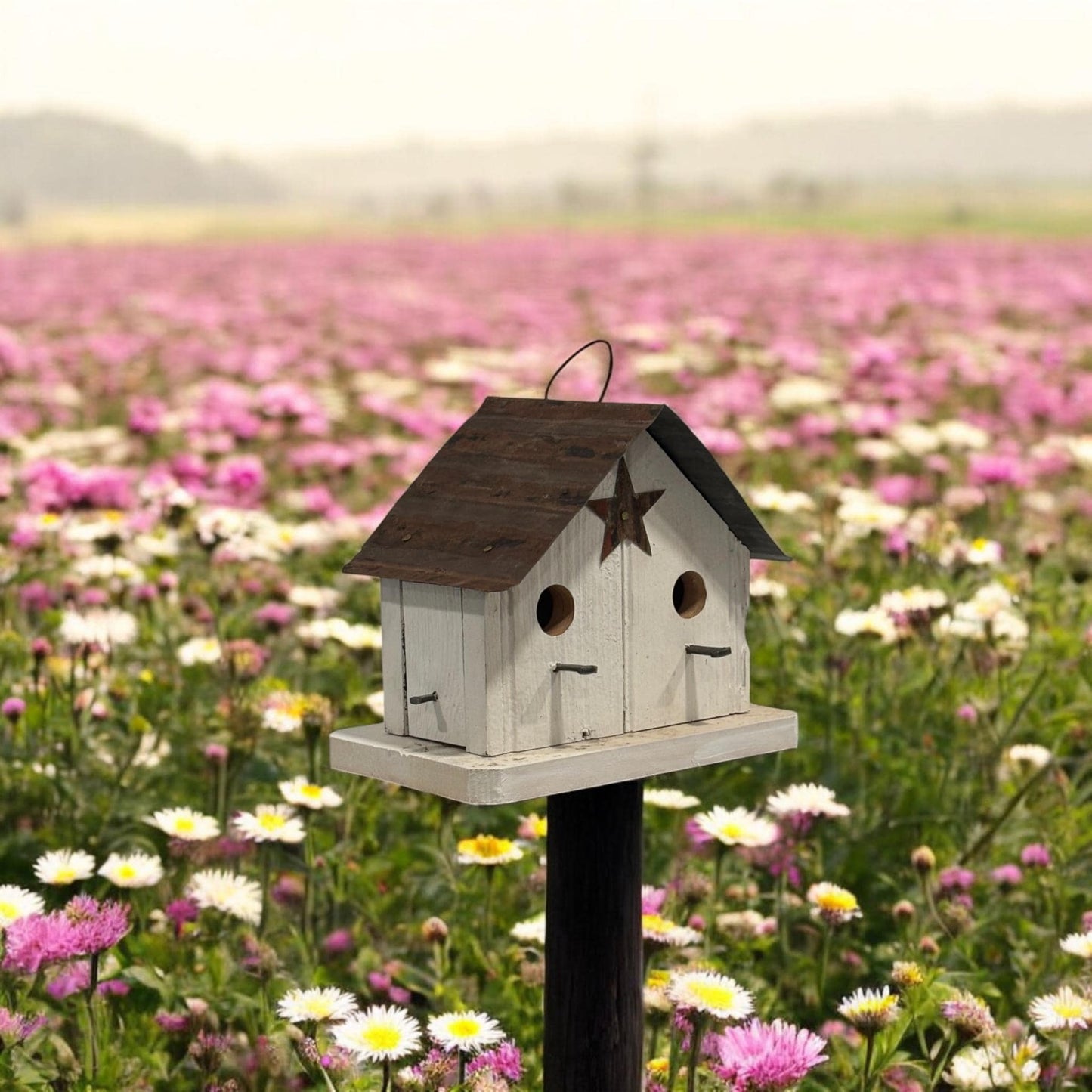 The Shed Birdhouse