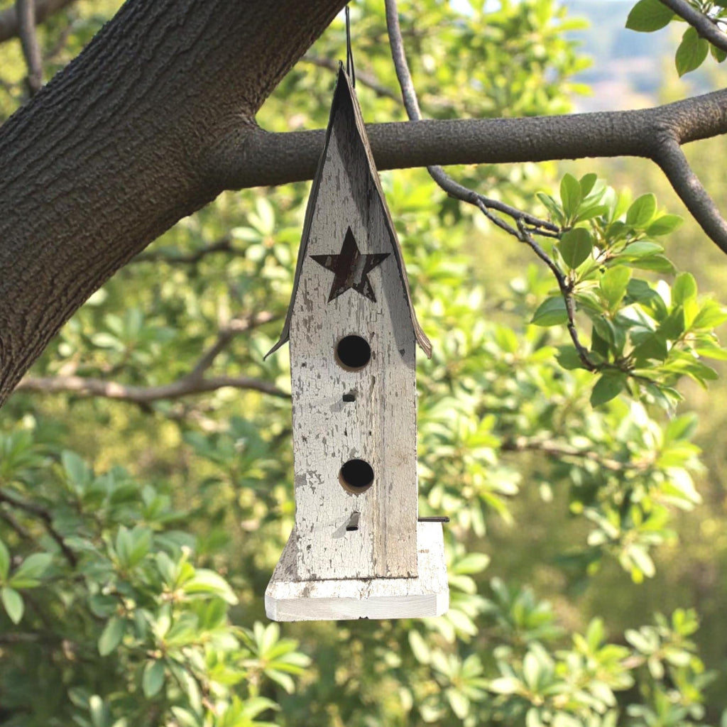 Wooden birdhouse with a star design hanging from a tree branch with a green foliage background.